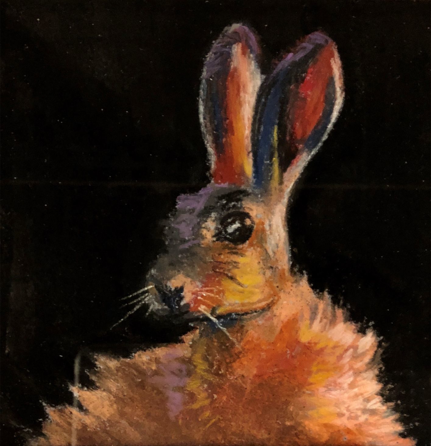 Rabbit